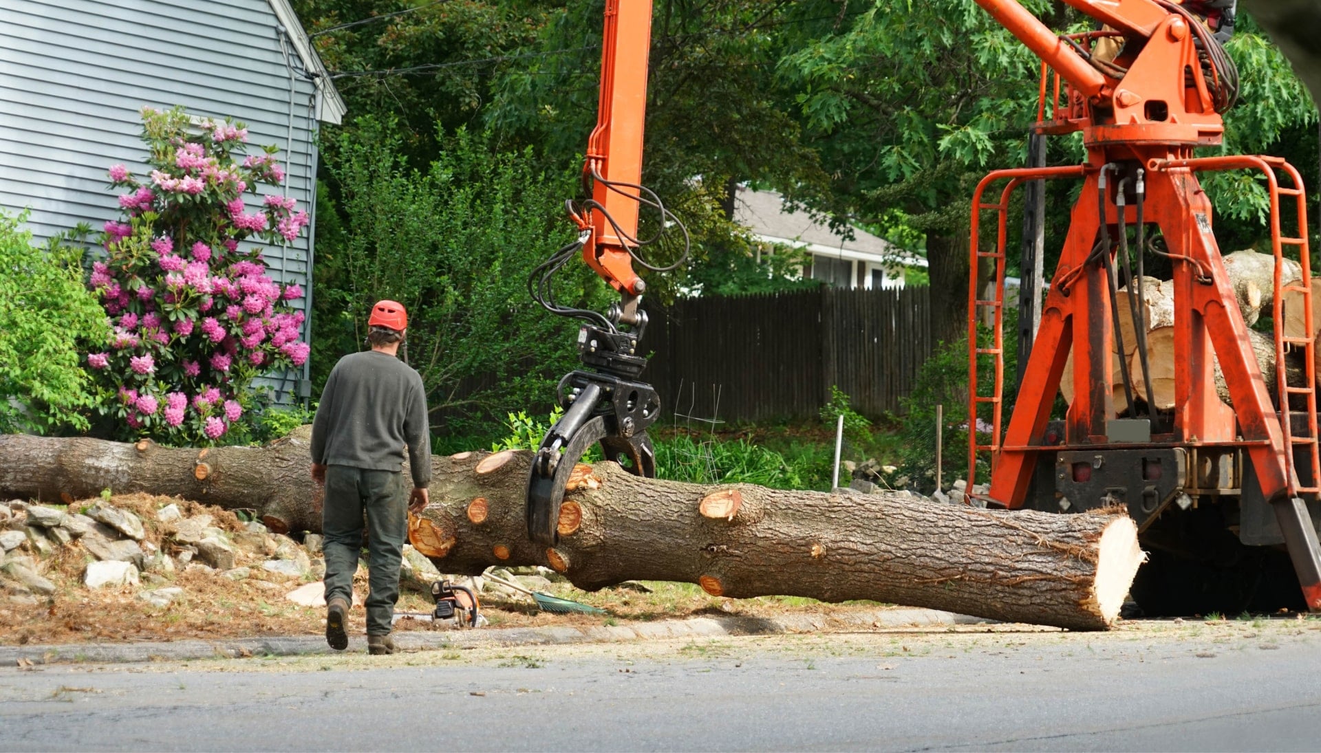 Local partner for Tree removal services in Corvallis